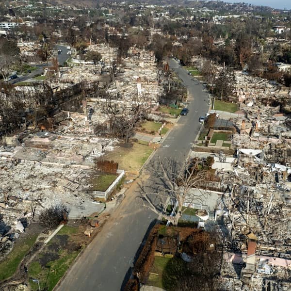 1 year after LA wildfires, investors are moving in 1 year after LA wildfires, investors are moving in